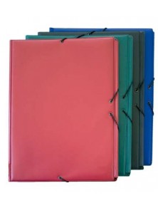 Carpeta gomas forradas pvc tamaño cuarto con 3 solapas