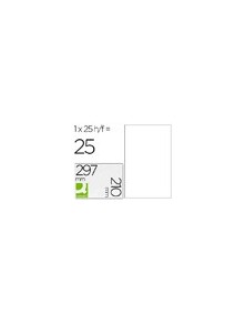 Etiqueta adhesiva q-connect kf00228 -tamaño din a4 -para ink-jet -transparente -caja con 25 hojas din-a4