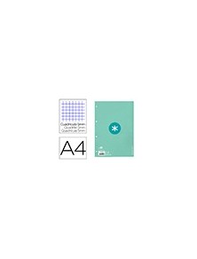 Recambio liderpapel a4 antartik 80 hojas 90gm2 cuadro 5 mm 4 taladros 1 banda marco color menta