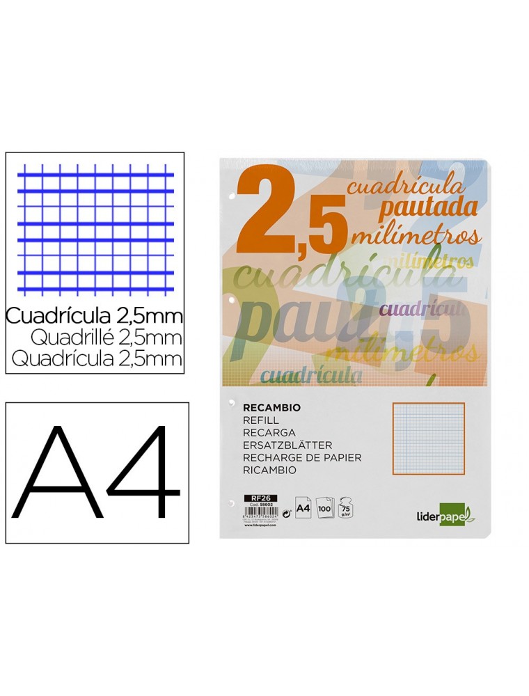 Recambio liderpapel a4 pautaguia 100 hojas 75 gm2 cuadriculado pautado 2,5 mm con margen 4 taladros