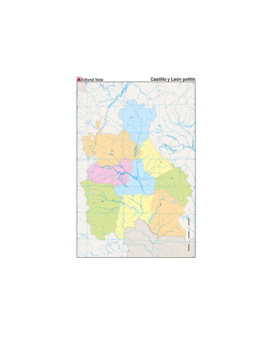 Mapa mudo color din a4 castilla-leon politico