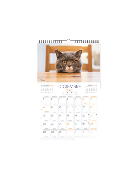 Calendario espiral pared liderpapel imagenes gatos 2025 para escribir 25x40 cm papel 157 gr