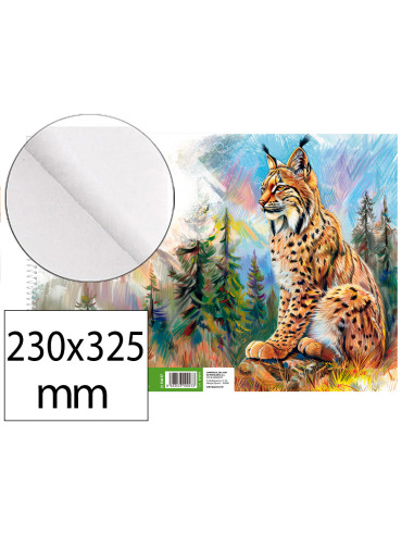 Bloc dibujo liderpapel artistico natura espiral 230x325mm 20 hojas 130g/m2 sin recuadro perforado