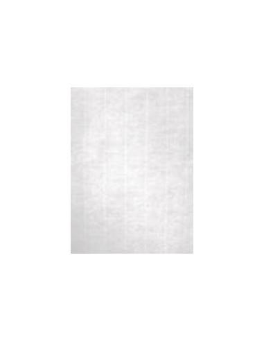 APLI PAPEL TEXTURA VERJURADO BLANCO 100 GR. TAMAÑO A4 - 100 HOJAS -