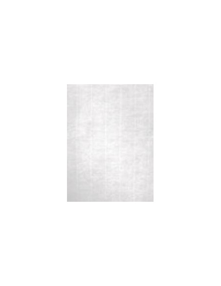 APLI PAPEL TEXTURA VERJURADO BLANCO 100 GR. TAMAÑO A4 - 100 HOJAS -