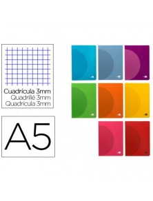 Libreta liderpapel 360 tapa de plastico a5 48 hojas 90gm2 cuadro 3 mm con margen colores surtidos