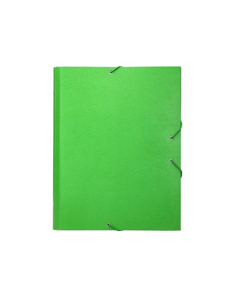 Carpeta clasificadora liderpapel 12 departamentos folio prolongado carton forrado verde claro