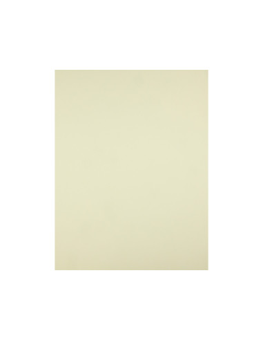 Cartulina liderpapel 50x65 cm 180g/m2 amarillo