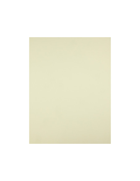 Cartulina liderpapel 50x65 cm 180g/m2 amarillo