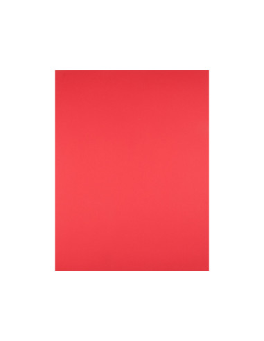 Cartulina liderpapel 50x65 cm 180g/m2 rojo