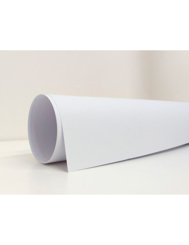 Cartulina liderpapel 50x65 cm 180g/m2 blanco