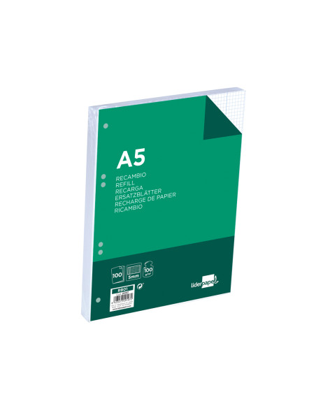 Recambio liderpapel a5 100 h 100g/m2 cuadro 5mm con margen 6 taladros