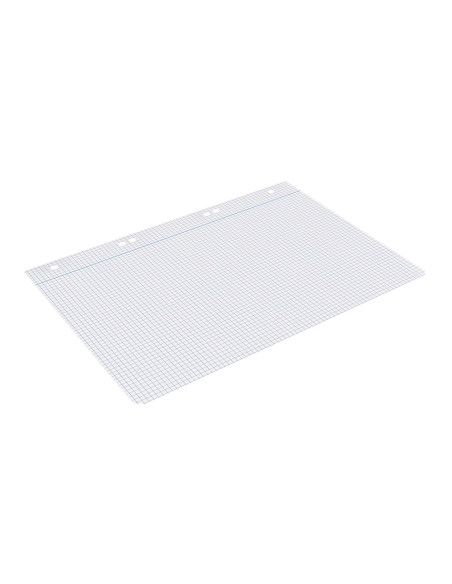 Recambio liderpapel cuarto 100 hojas 60g/m2 cuadro 4mm con margen 6 taladros