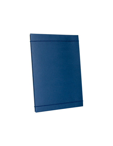 Carpeta proyectos liderpapel extensible gofrada folio