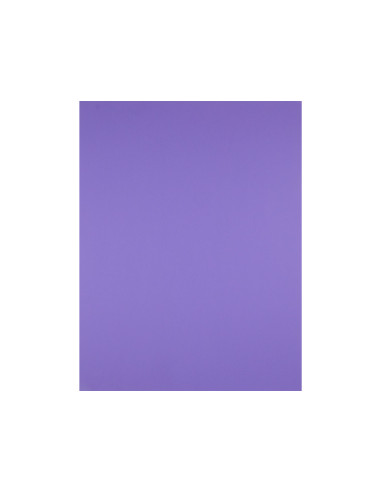 Cartulina liderpapel 50x65 cm 240 g/m2 purpura