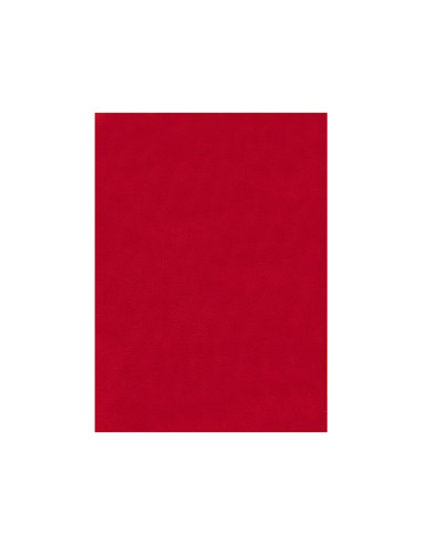 Fieltro liderpapel 50x70cm rojo 160g/m2