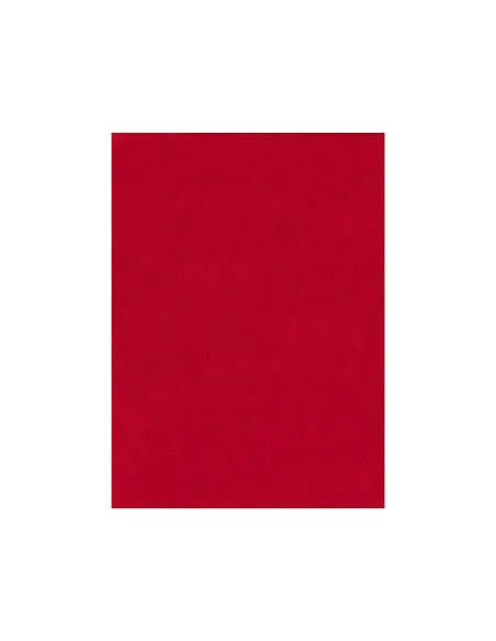 Fieltro liderpapel 50x70cm rojo 160g/m2