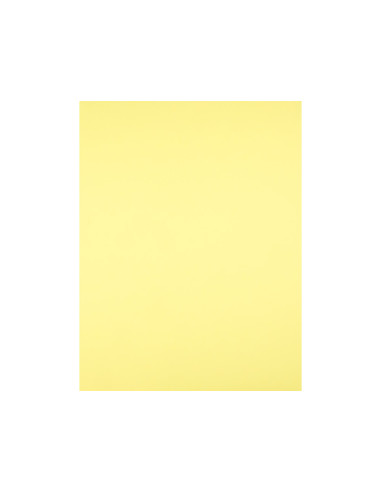 Cartulina liderpapel 50x65 cm 240g/m2 amarillo medio paquete de 25 hojas