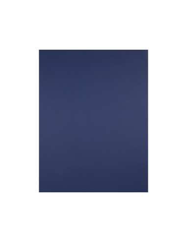 Cartulina liderpapel 50x65 cm 240g/m2 azul zafiro paquete de 25 hojas