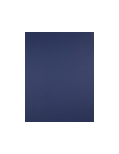 Cartulina liderpapel 50x65 cm 240g/m2 azul zafiro paquete de 25 hojas