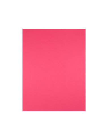 Cartulina liderpapel 50x65 cm 240g/m2 fucsia paquete de 25 hojas