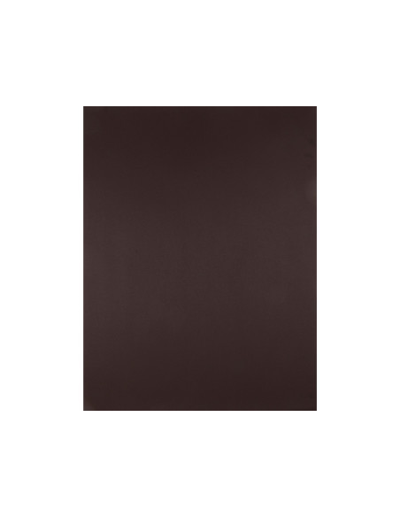 Cartulina liderpapel 50x65 cm 240g/m2 marron paquete de 25 hojas