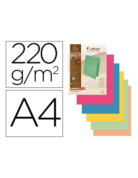 EXACOMPTA SUBCARPETAS A4 FOREVER COLORES SURTIDOS 220GR -100U-